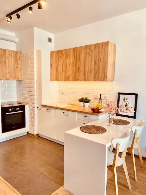 Spacious,Stylish And Comfortable 2 Room Apartment With Million Dollar View Warsaw 0*,  Poland
